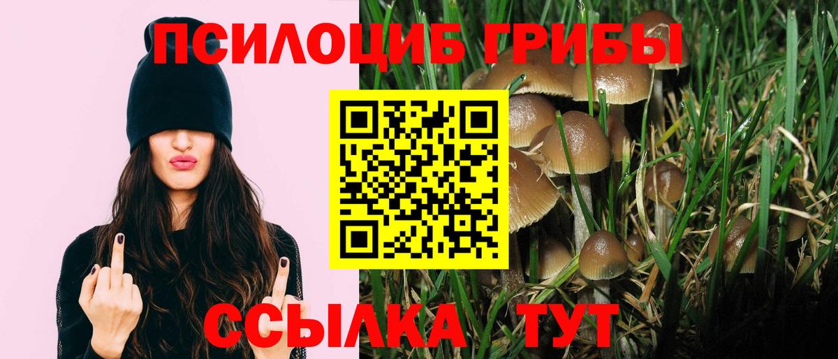 Галлюциногенные грибы ЛСД Ковров